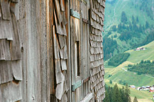 Tannberg Tipp Stall Tannberg Tipp Stall