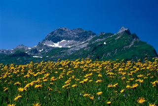 Tannberg Tipp 11 Karbuehel Berg Tannberg Tipp 11 Karbuehel Berg