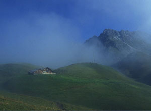 Tannberg Tipp 06 Gaisbuehel Alpe Tannberg Tipp 06 Gaisbuehel Alpe