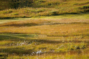 Tannberg Tipp Oberlech Tannberg Tipp Oberlech